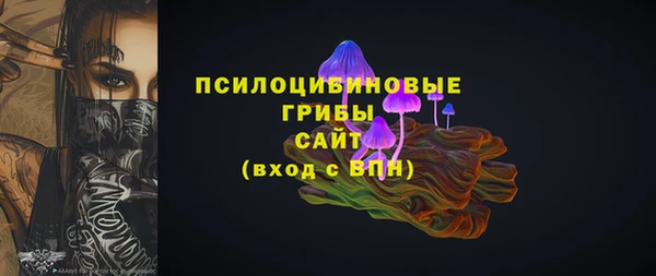 ешки Аркадак