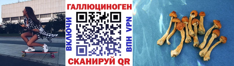 как найти закладки  Усть-Кут  Галлюциногенные грибы Cubensis 